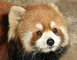 横浜市立野毛山動物園 横浜市立野毛山動物園